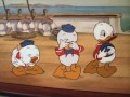 Walt Disney: Donald Duck - Sea Scouts