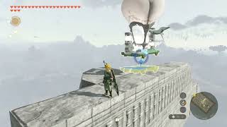 Zelda: TOTK - Bird Mishaps