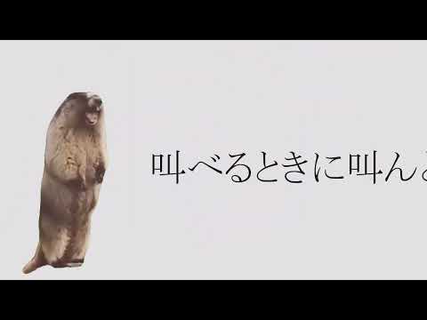バカ通信  知声 MV　 #バカ通信　#shorts #重音テト  #ボカロ  #東方