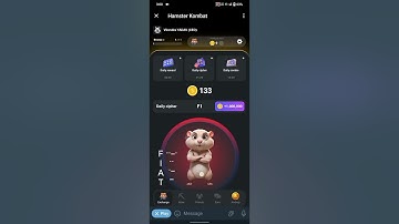 7 July Hamster Kombat Daily Cipher Code| Hamster Kombat Daily Cipher Code