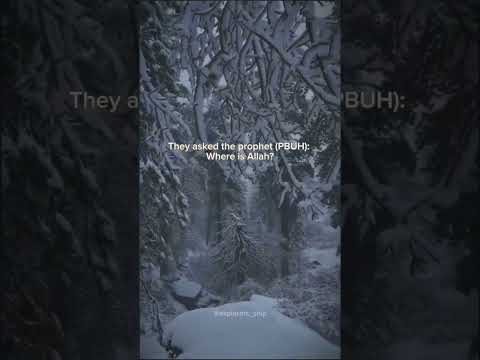 Type HASBUNALLAH Allah Is Enough For Me Reels Nasheed Allah Status Faith News Palestine 