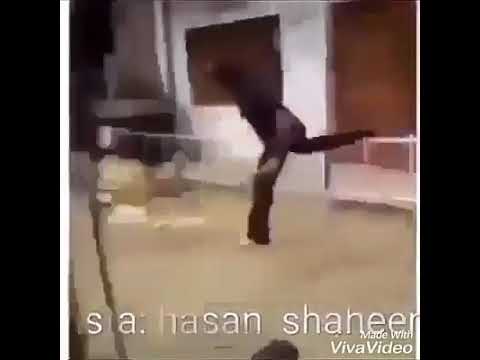 المجانين فى نعيم