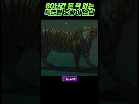 60년간 본 적 없는 특별한 호랑이 손님 출처-호텔델루나 #장만월#이지은#아이유#구찬성#여진구#호텔델루나#넷플릭스추천#쇼츠#Short