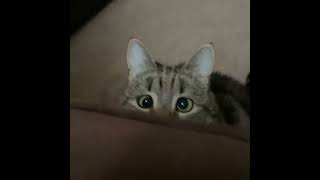 That feeling when you lean back a little too far in your chair and your whole life flashes