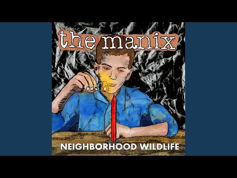 The Manix — Another Message