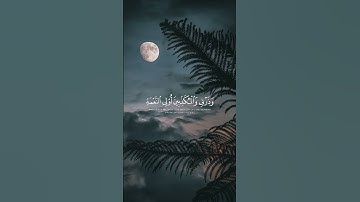 تلاوة من #سورة_المزمل#عبدالرحمن_مسعد #اسلام #قرآن #تلاوة_خاشعة#تلاوات #اكسبلور#islam #quran #explore