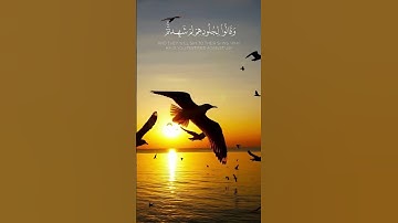يوم تشهد عليهم جلودهم... تلاوة تزلزل القلوب من سورة فصلت | محمد عبادة