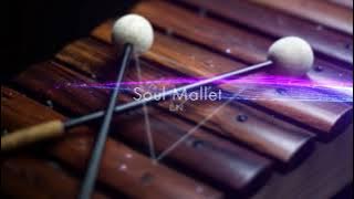 L.N. - Soul Mallet