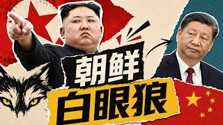 习近平的朝鲜之困：中共喂不饱的白眼狼 | 金正恩 | 朝鲜战争 | 六方会谈 | 核试验