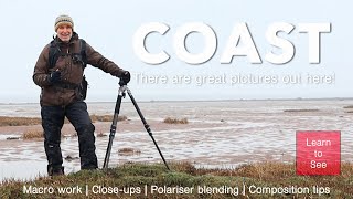 Macro and Close-up Photography at the Coast