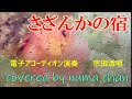 「さざんかの宿」/大川栄策 電子アコーディオン演奏:宗田活明 covered by numa chan