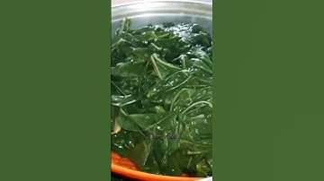 tips cara masak daun singkong agar tetap hijau dan empuk #food #cooking #masakansimpel #daunsingkong