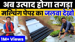 Mulching Paper Agriculture | मल्चिंग पेपर देसी जुगाड़, रेट, फायदे की पूरी जानकारी |  Indian Farmer