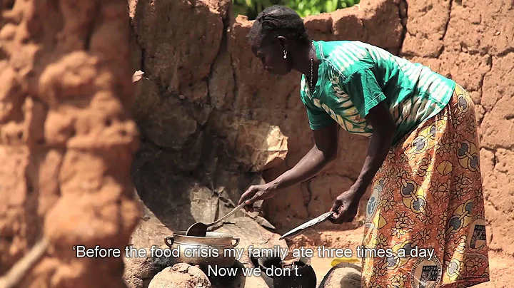 Food Crisis in the Sahel: Learned lessons