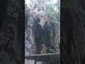 Malaysia Sri Murugan Temple Batu Caves:Must See.