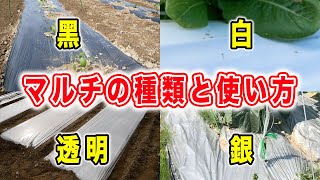 マルチの種類と使い分け方　黒マルチだけじゃない！透明〜銀色など紹介