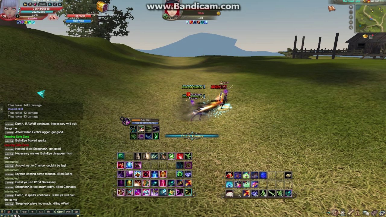 Pwi Assassin pvp TT / PWM