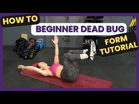 Dead Bug Arms Only | Beginner Core Exercise Tutorial