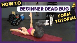 Dead Bug Arms Only | Beginner Core Exercise Tutorial