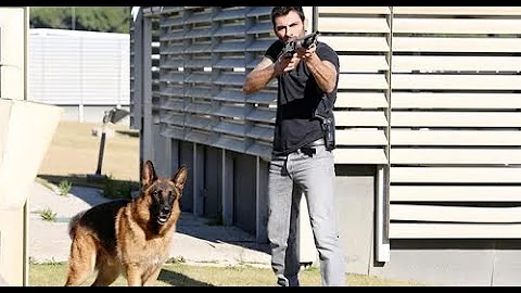 Rex Special Unit S18 E12-Terzani "Room 110" #209