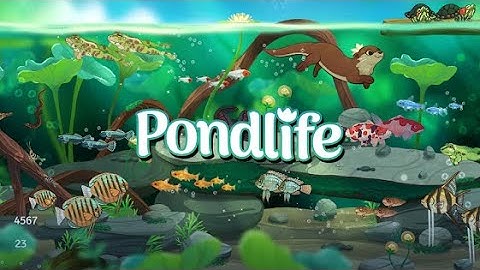 Pondlife — Relaxing Fish Game (by Runaway) IOS Gameplay Video (HD)