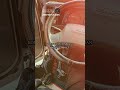 روقان ترڪي أجمل أغاني الدلع الترڪي بالترجمة المصرية المنفرد تركي مصر Foryou 