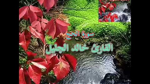 #سورة الحج#بصوت مميز للقارئ خالد الجليل#Surat AlHajj#