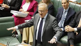 ‘Arrogant’ Albanese government ‘hellbent’ on destroying Australia