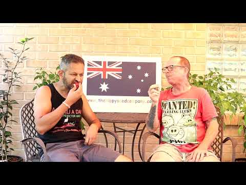 Pimenta Cambucci  Chilli Test