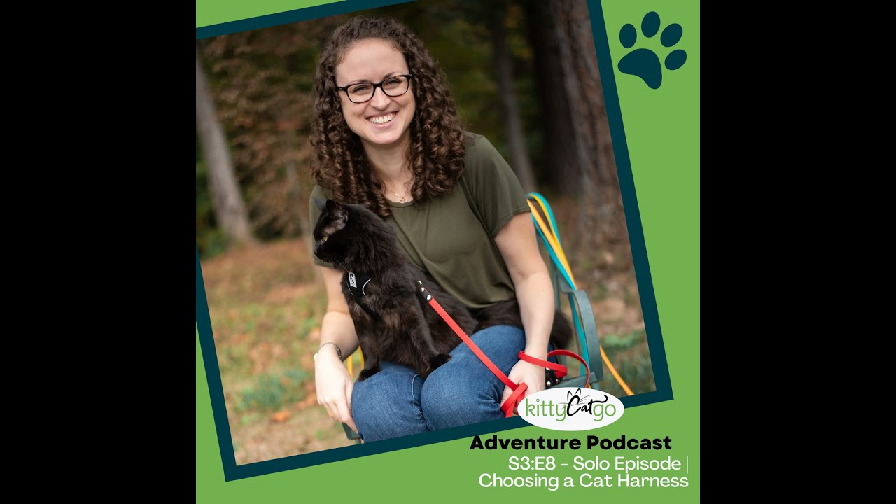 3:8 - How to Choose the Best Cat Harness