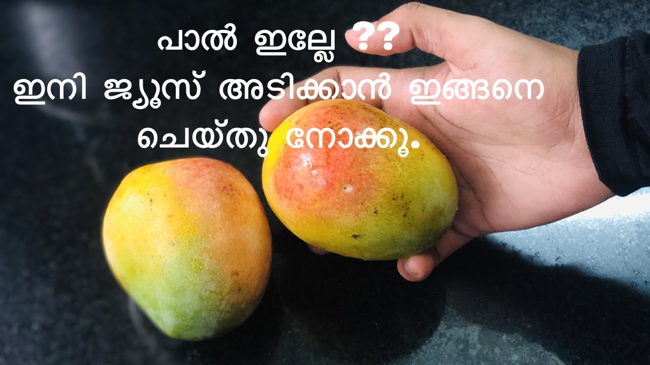 പാൽ ഇല്ലാതെ ഒരു അടിപൊളി മാംഗോ ജ്യൂസ്/simple mangoe juice recipie/juwans kitchen