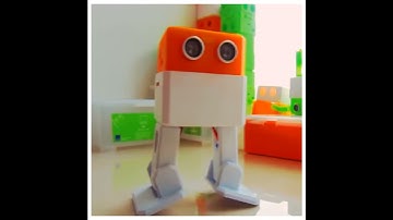 OTTO - 3d Printing a Robot at Anjali3d