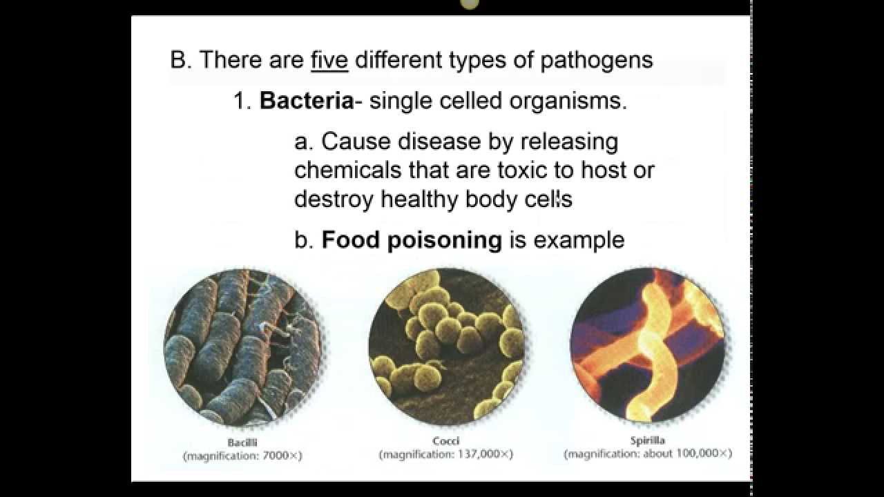 different types of pathogens