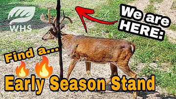 How To Find The Perfect Early Season Stand Location