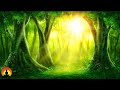 Relaxing Music, Meditation, Healing, Sleep Music, Calm Music, Spa, Zen, Study, Sleep, Relax, ☯3641