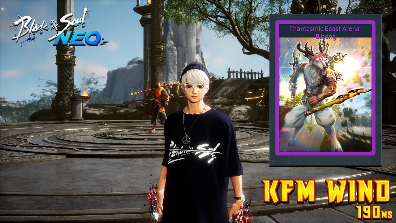 [Blade and Soul Neo] Kung Fu Master WIND - Phantasmic Beast Arena (Bibong)