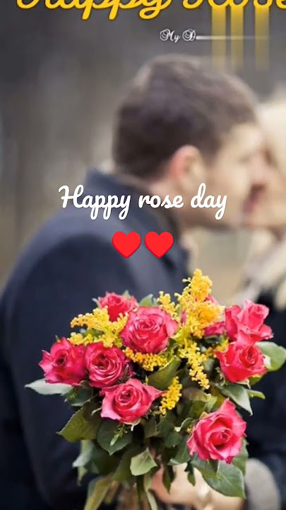 happy rose day 2023 status..♥️♥️♥️♥️♥️#Short videos
