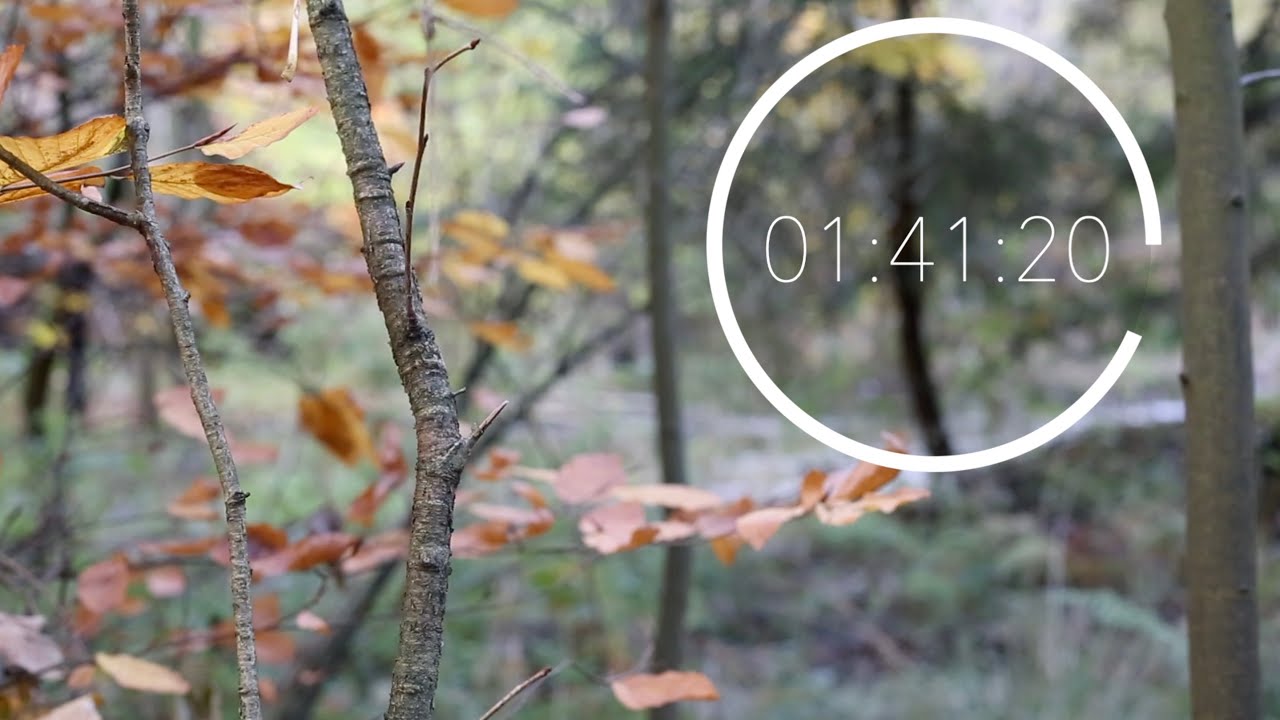 STUDY TIMER (2 HOURS) - nature sounds - natural white noise - countdown ...