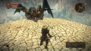 The Witcher 2 - Dragon boss battle