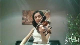 Sun Raha Hai Na Tu Violin Cover | Triple M Music