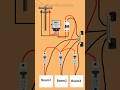 How to wire your house? Learn the correct connection for 3 rooms! | #shots #electrical