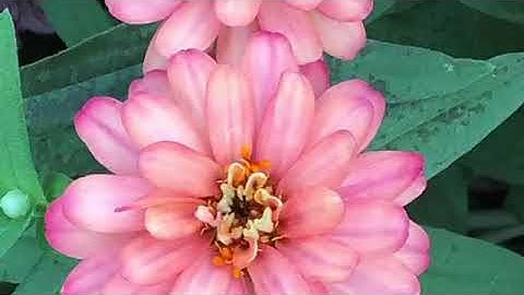 How to Take and Edit Photos for Redbubble that ACTUALLY Sell