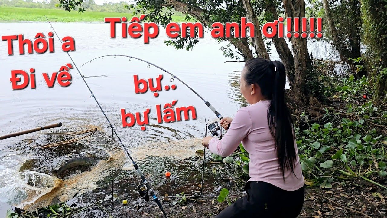 Quá hên phát hiện bầy cá khủng Tràm Chim, quăng mồi ăn liền 6 con | Săn bắt SÓC TRĂNG |