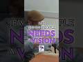 The Jewish people NEEDS a VISION