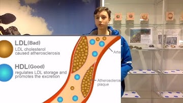 How can exercise prevent heart attacks