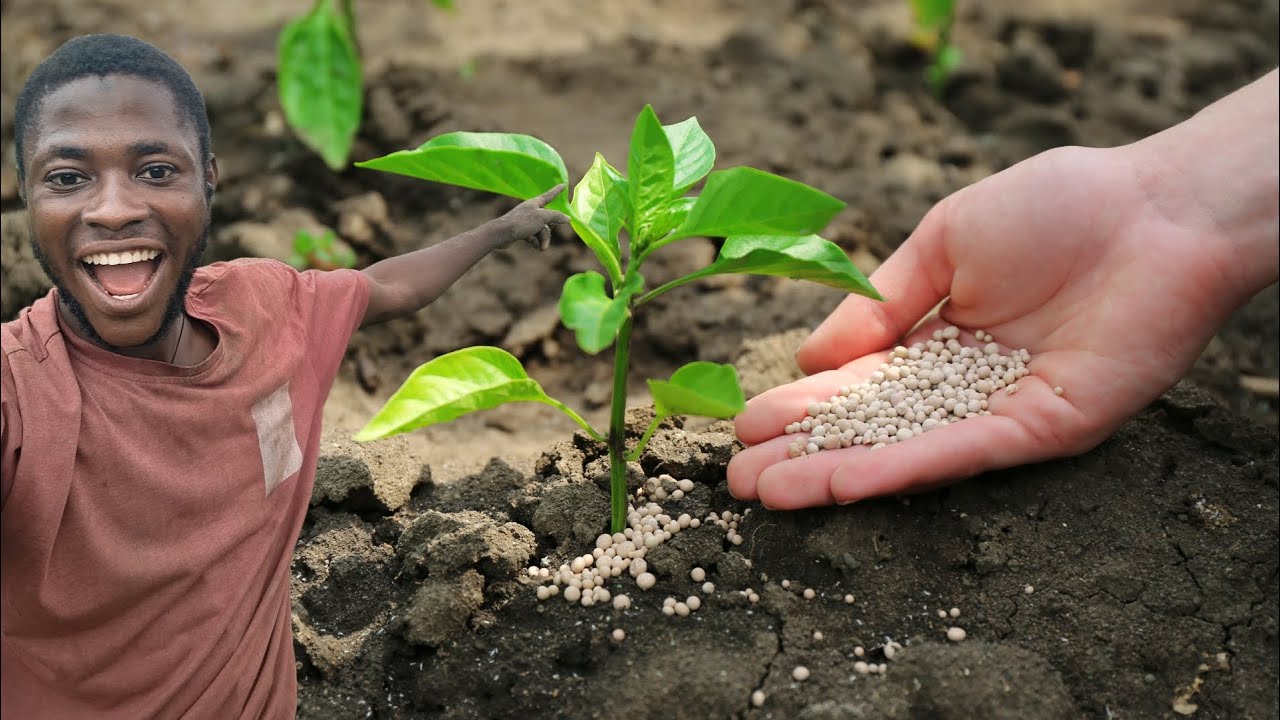 choose-the-best-method-of-fertilizer-application-for-your-crops-the