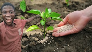 Choose the best method of fertilizer application for your crops. The Fastest method intake by crops.