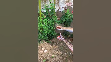 Creativity + Focus = Game Changer 🔥 #shorts