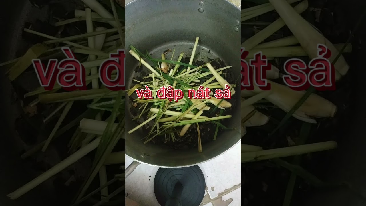 Cách làm dầu gội từ trái bồ kết, cỏ mần trầu, trà xanh | Tổng quát những tài liệu về cách làm dầu gội bồ kết chuẩn nhất