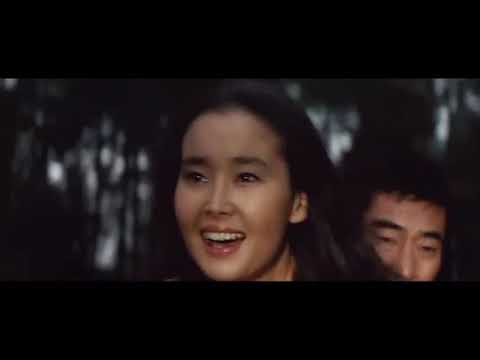 日本电影 追捕 主题曲 杜丘之歌